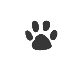 Furever Collective Paw